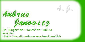 ambrus janovitz business card